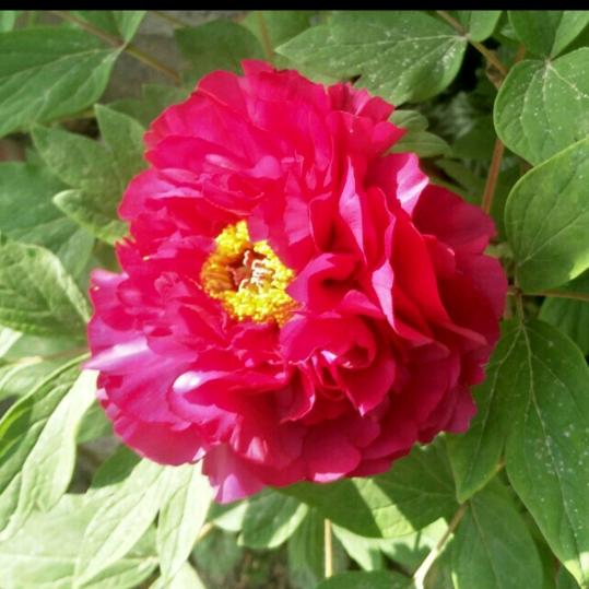 远方的朋友你还好吗？