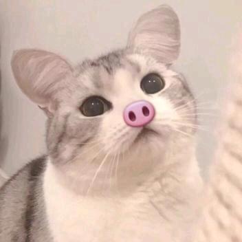 小苏～