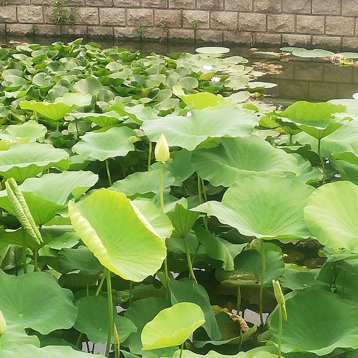遁一