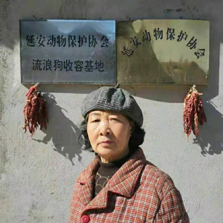 延安动物保护协会闫占云