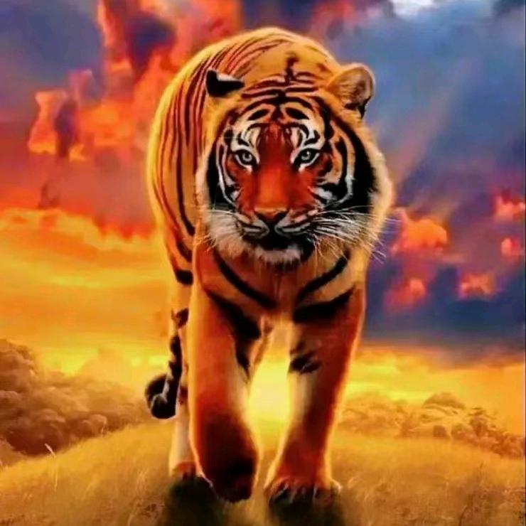 包头商砼，郝鹏