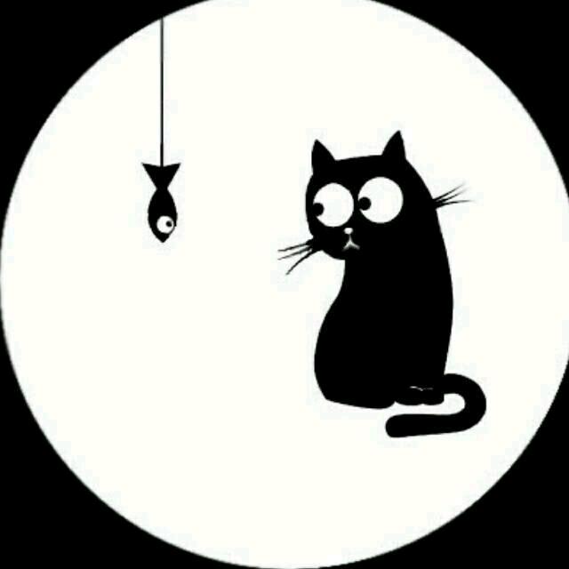 小猫钓鱼xyz