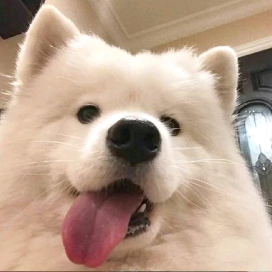 小欣不会吹泡泡