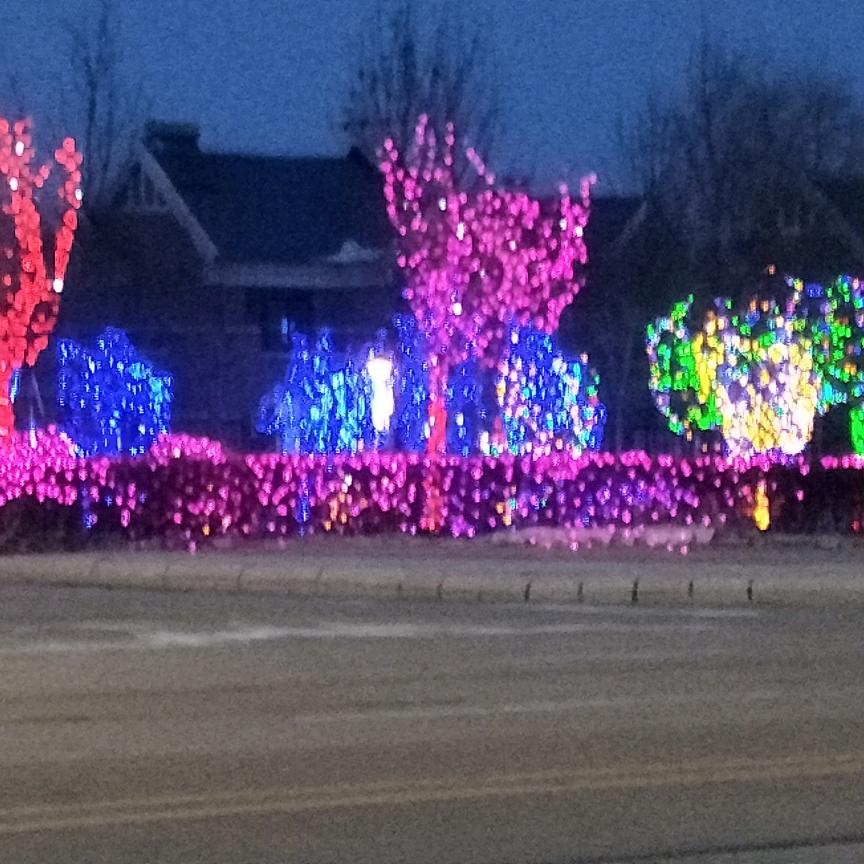 创业农场一汽服务站