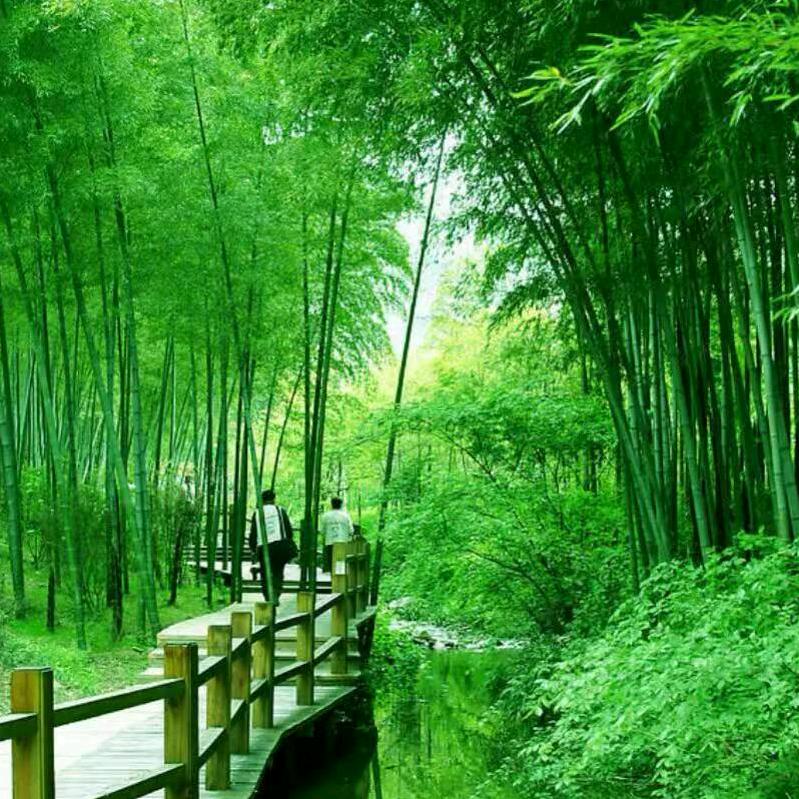 幸福里.清雅轩民宿