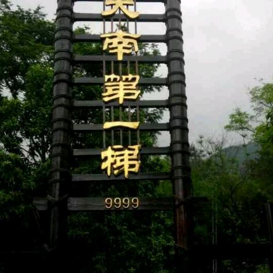 凤求凰