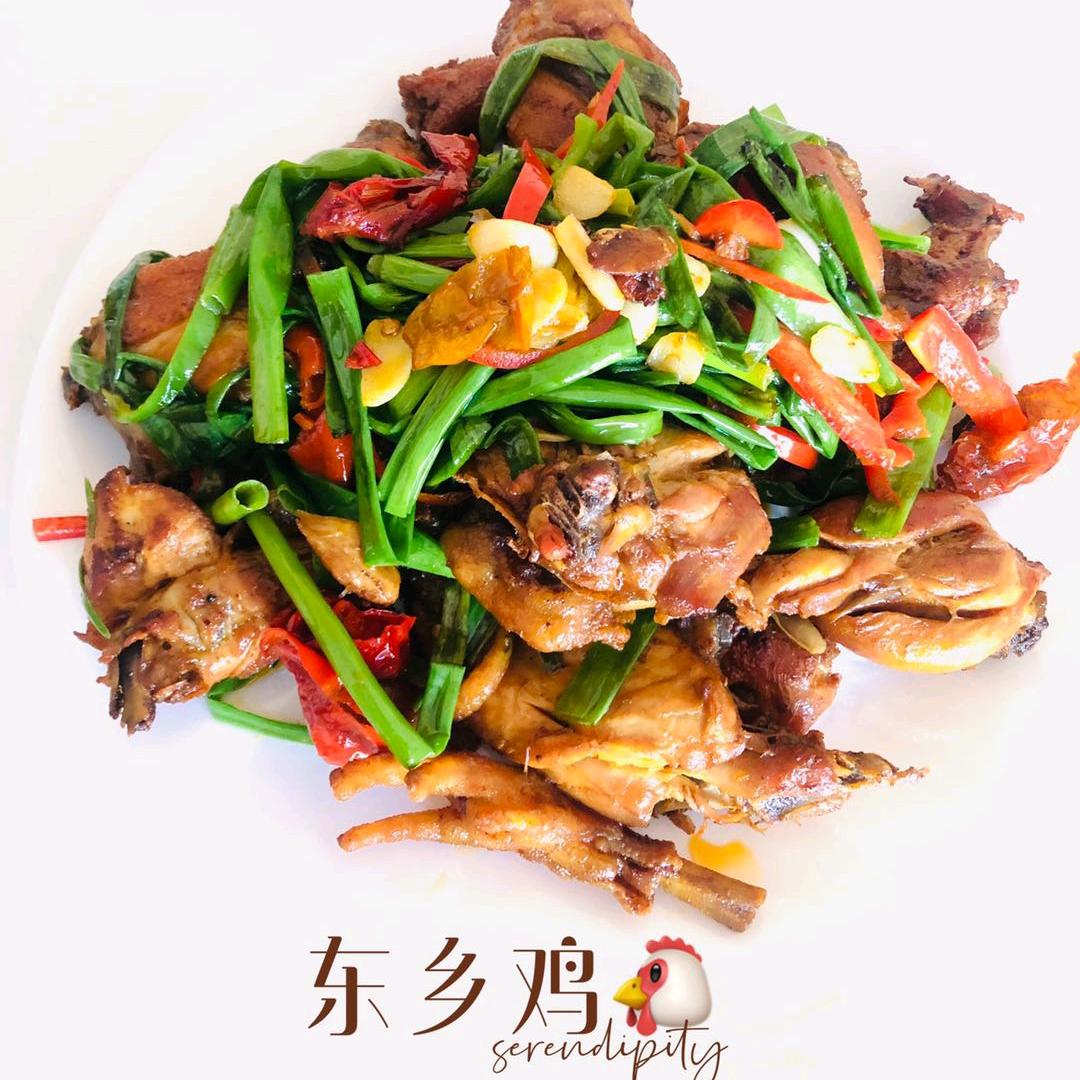 马学军东乡鸡🐔