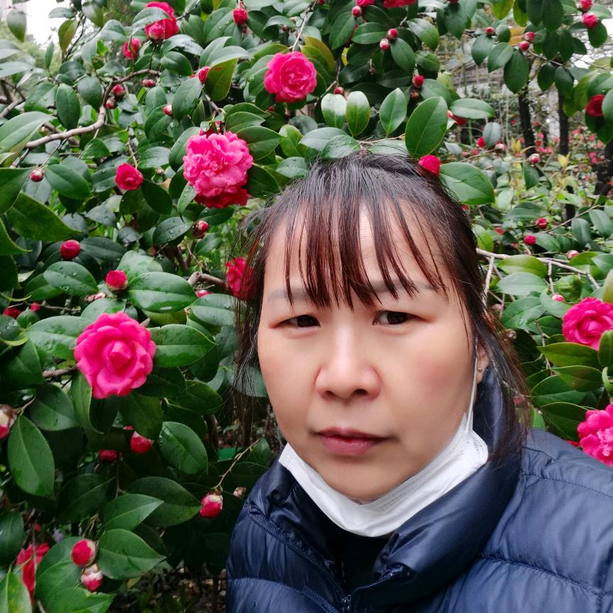 不会庄慧