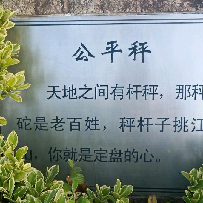 承接室内外装修杨