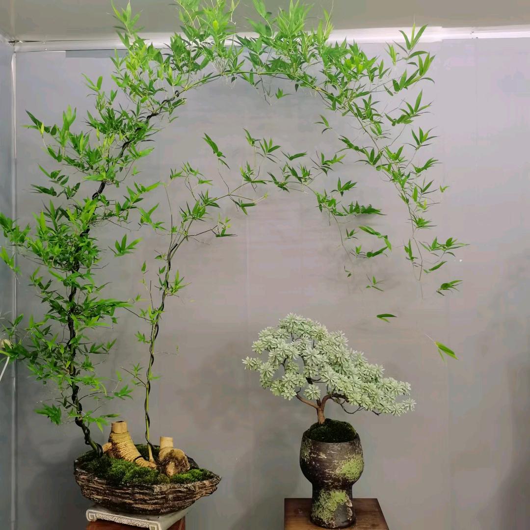 奇珍花舍