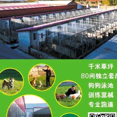 七台河市新兴区满心欢喜宠物坊