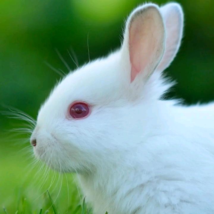 顺其自然吧