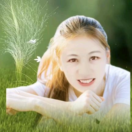 🌻 一片云⛅️