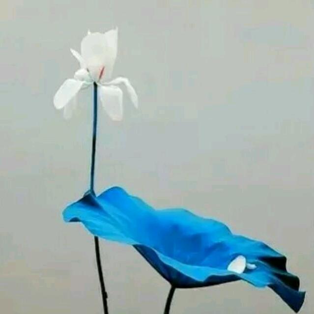 冰絮梦