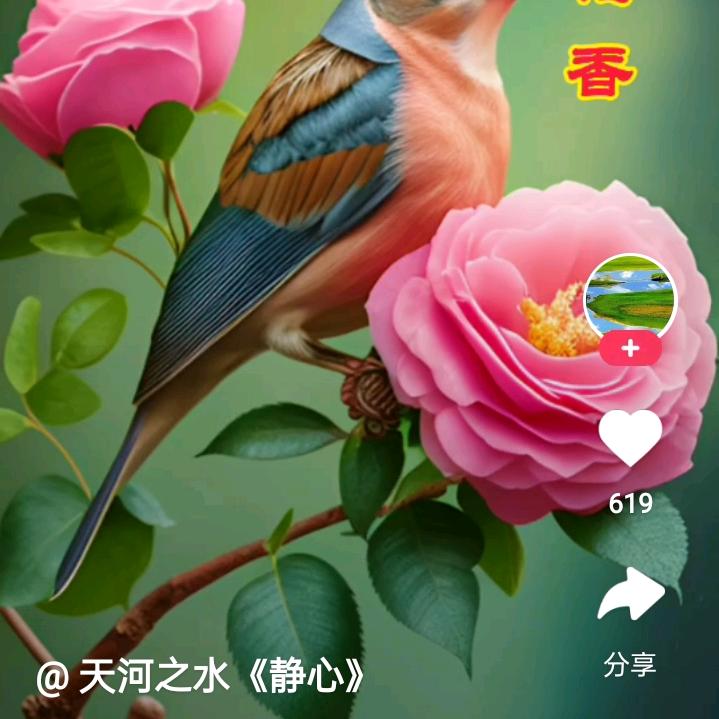 周周头像