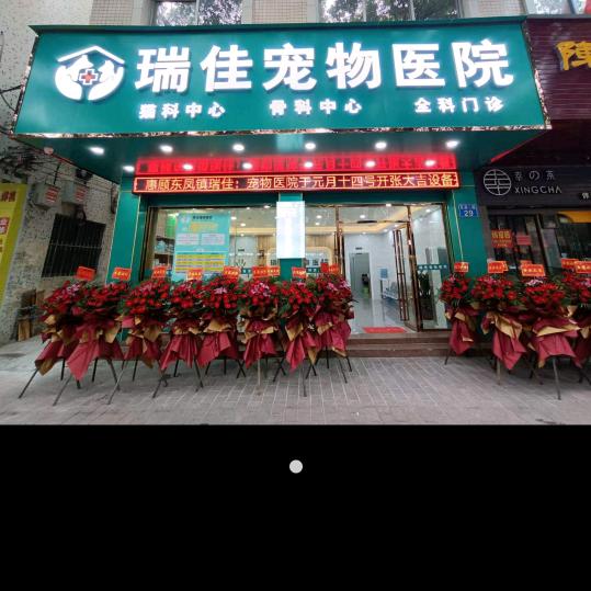 贵人宠物医院