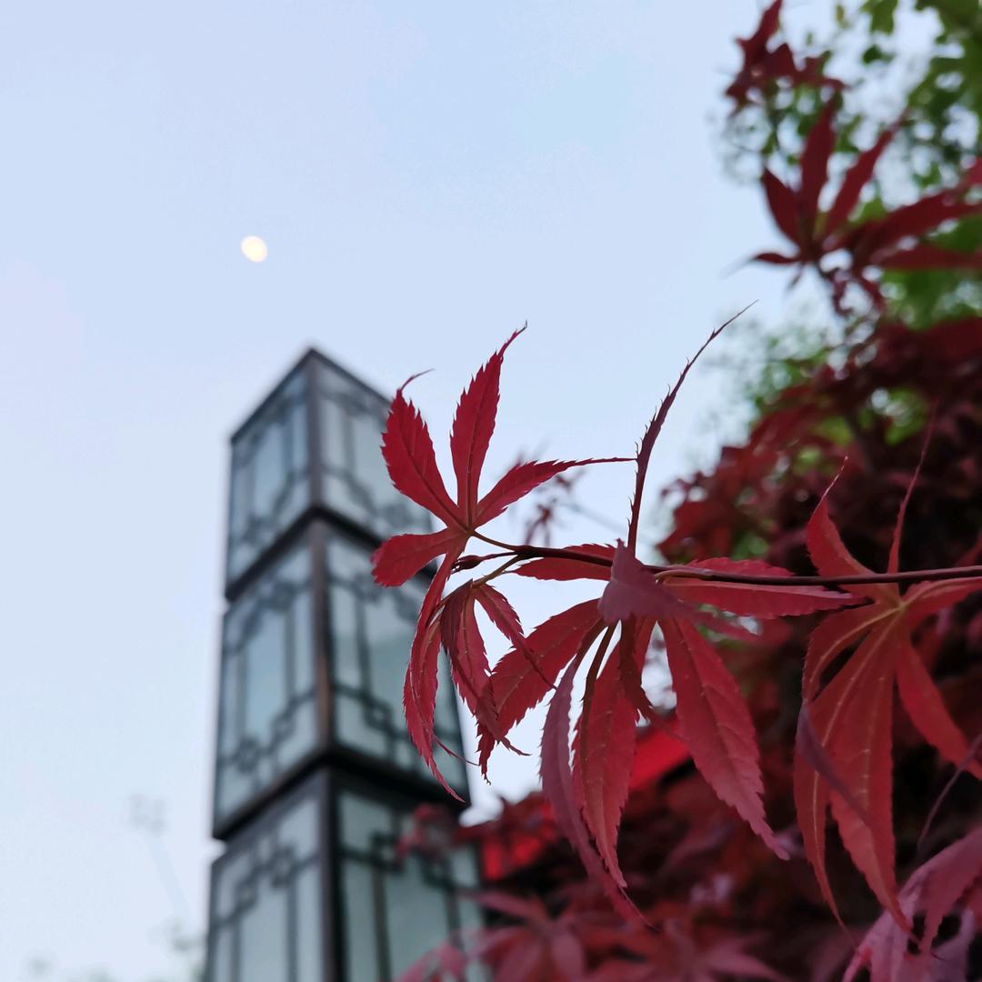 🌕晋夜无眠
