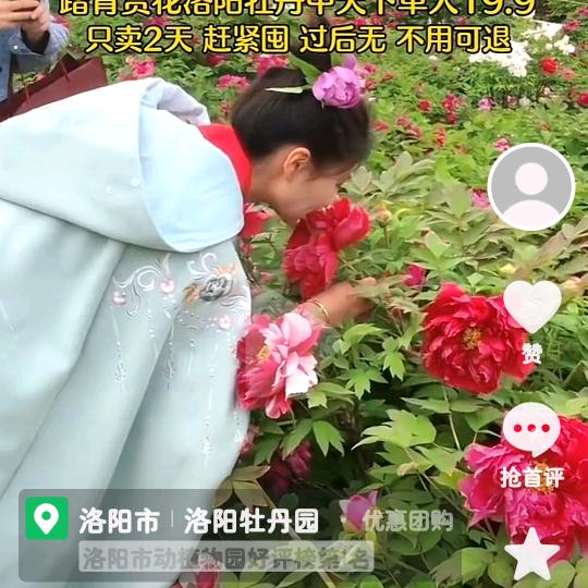 萱
