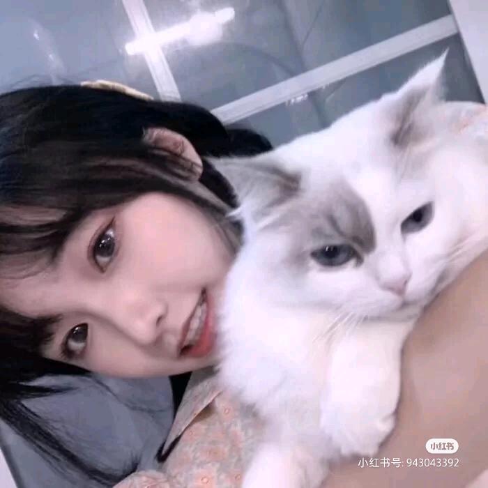 快乐小蟹