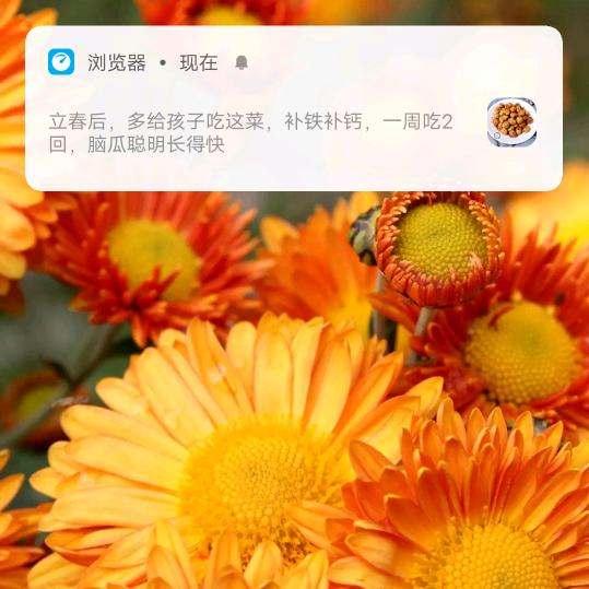 用户565145949950