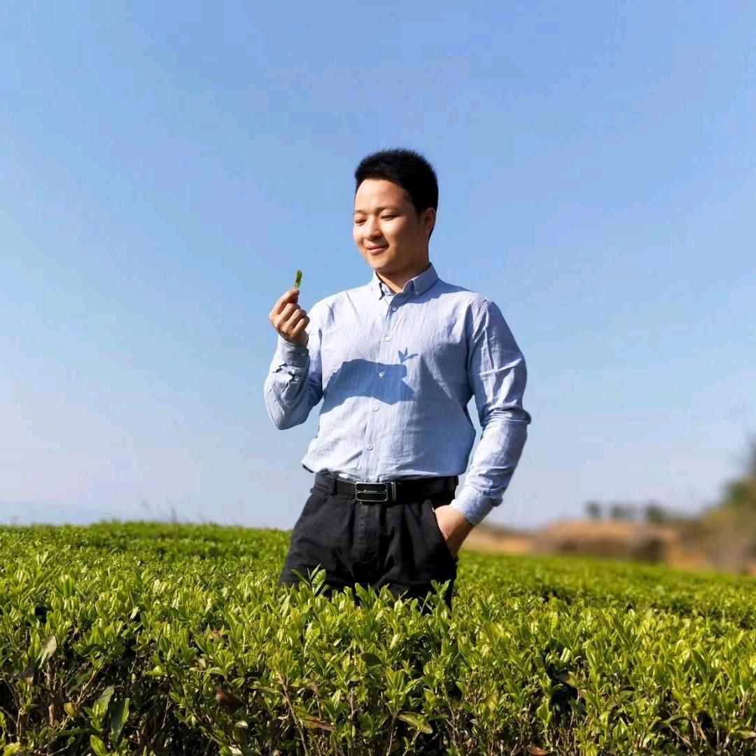 爱放羊的娃