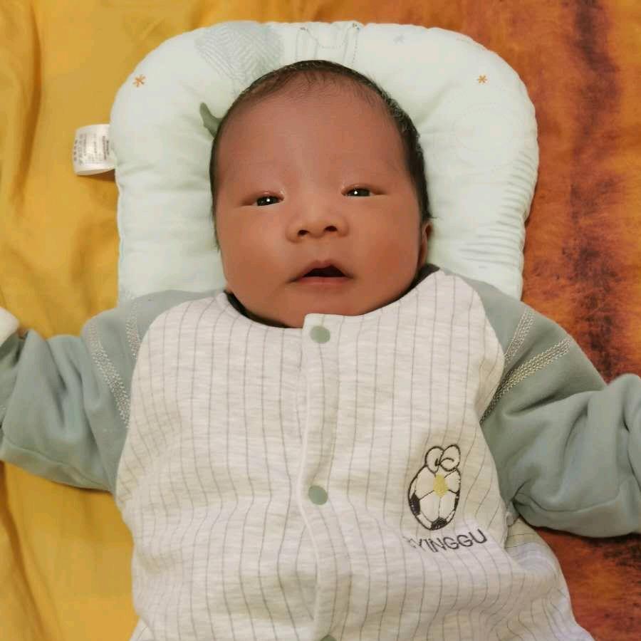 陈小愿