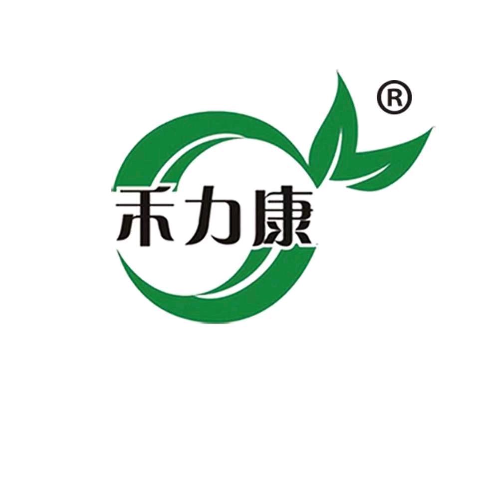 新疆特产食品臻选