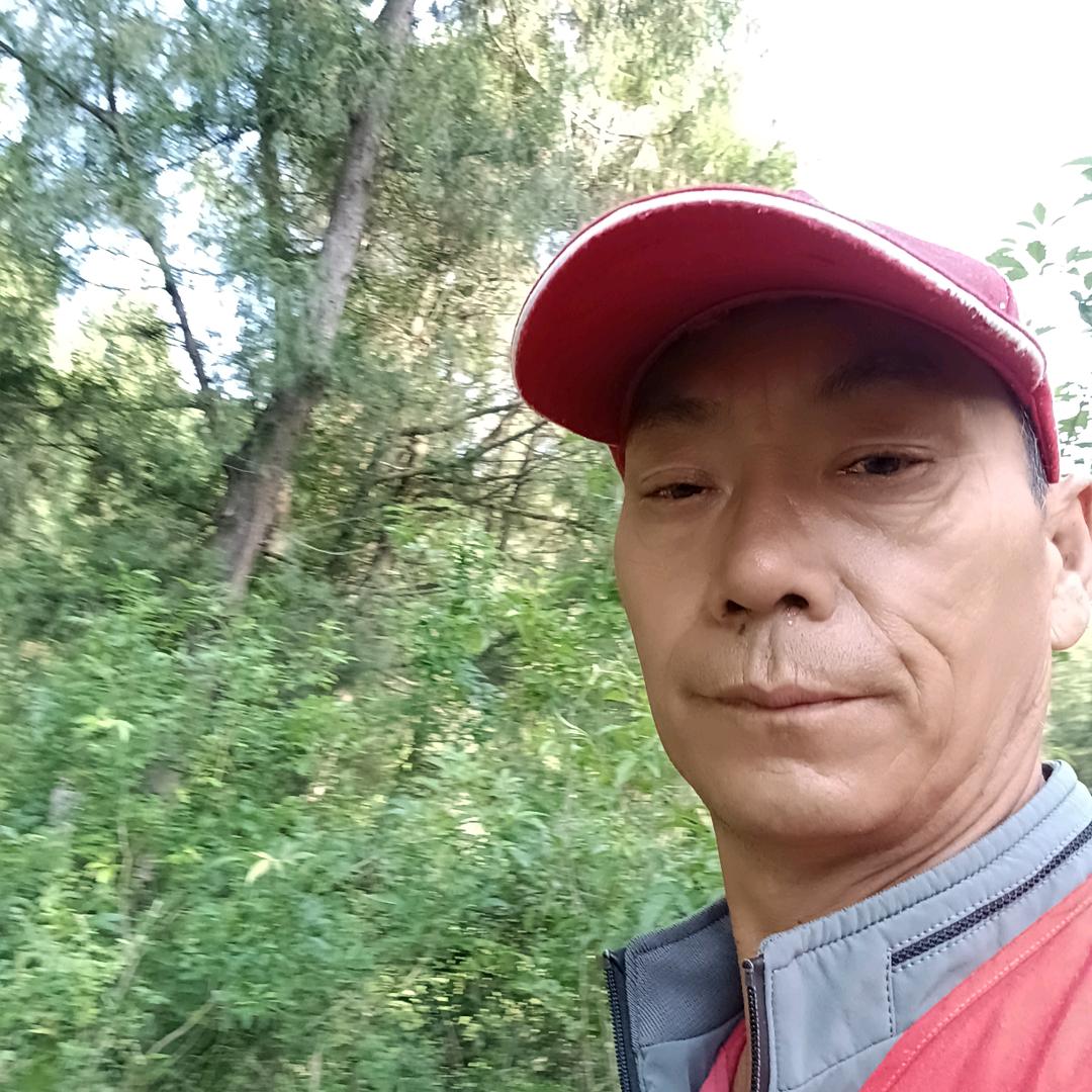 雄狮
