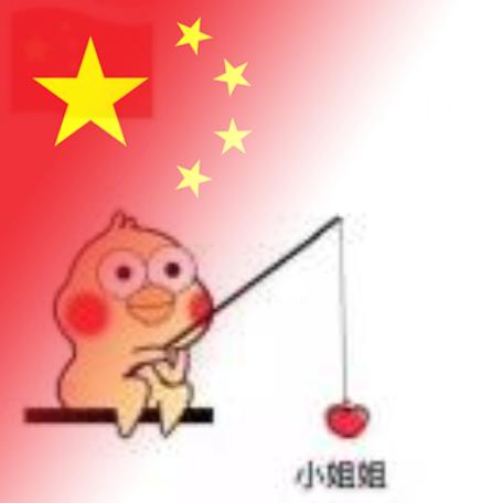 豆豆😂😂