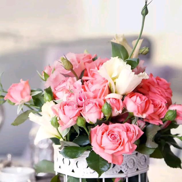 用户875191674306王德強