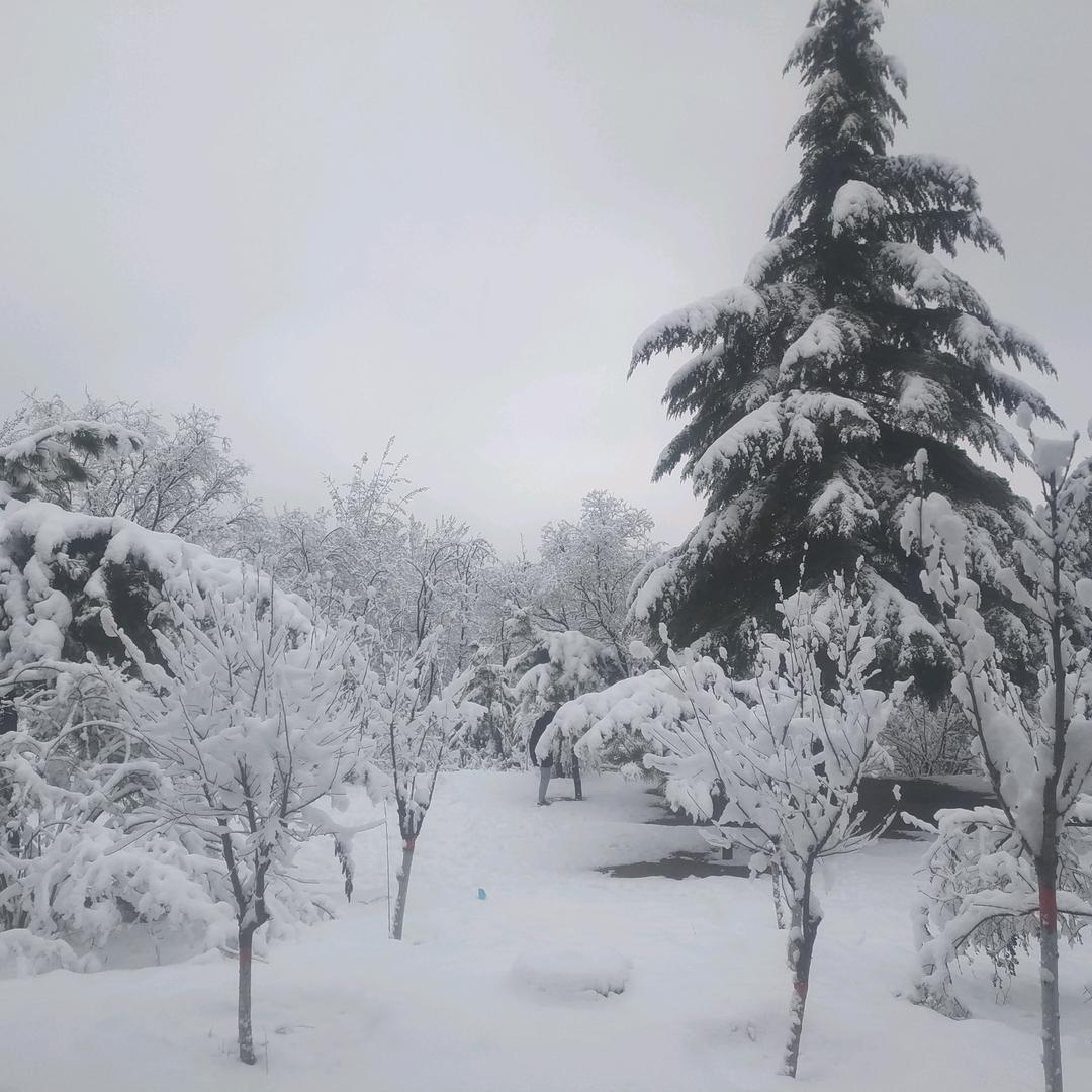 为了谁