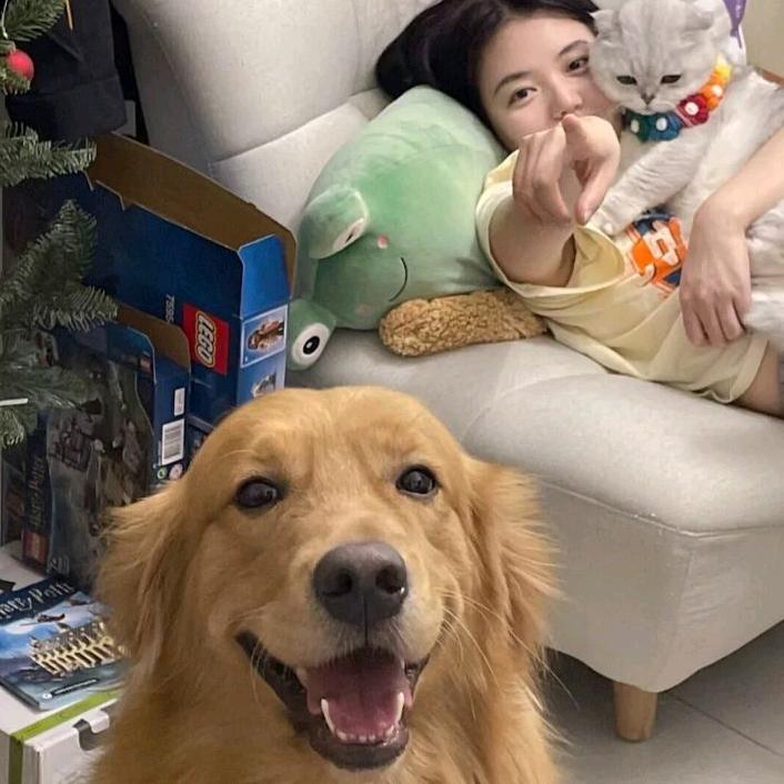 霸总挚爱的张梦洁头像