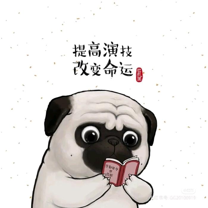 夏小贱