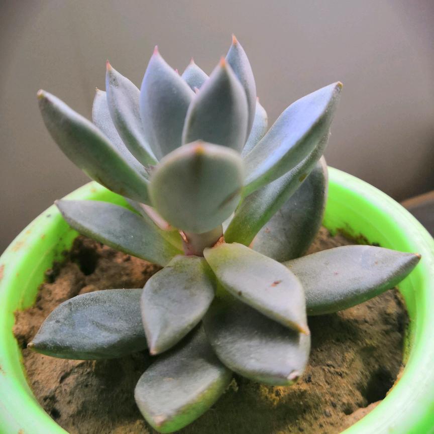 风向标严选