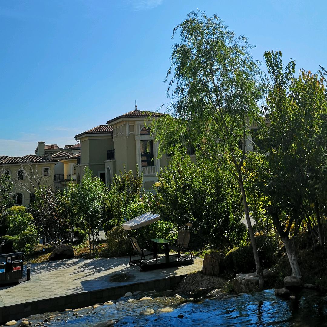 🐷瘾犯了🍊🎉✨🌈