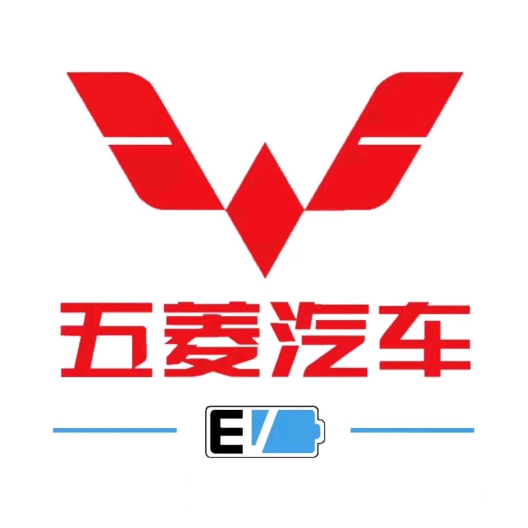 嘉兴禾鑫新能源货车