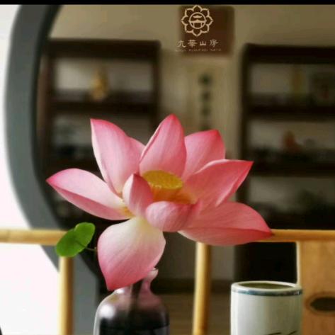 九华山房.
