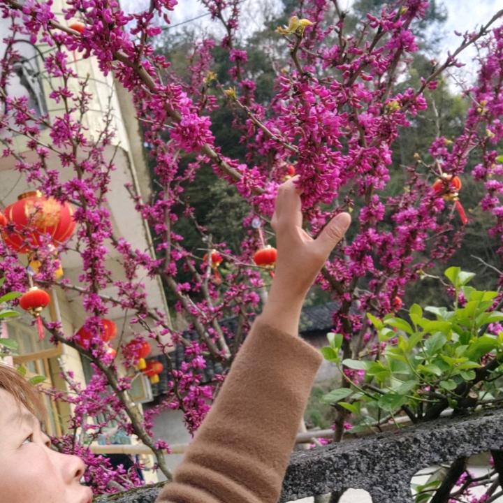 健康才是最大的幸福！