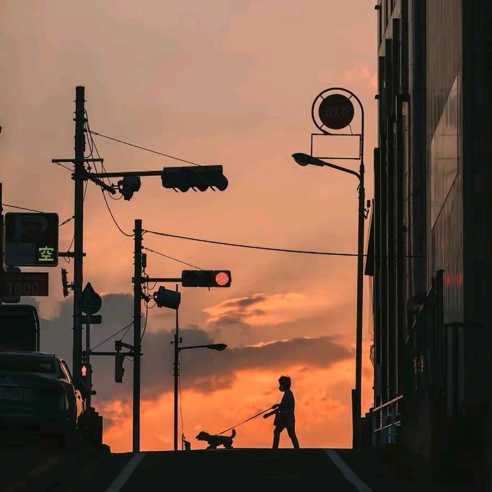 @朱先森