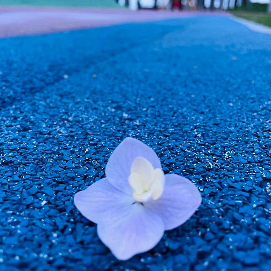 红颜逸风