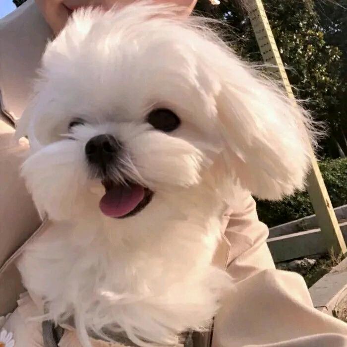 丫头💖