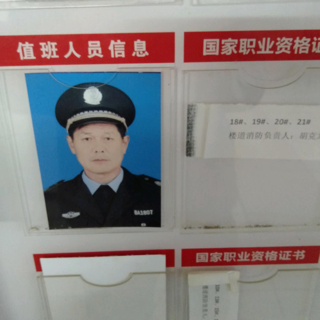 龙凤呈祥