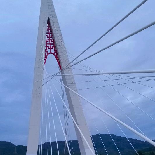 欢欢