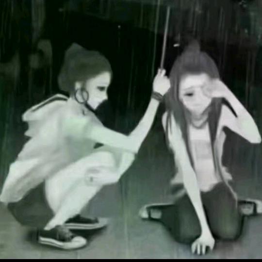 张云云