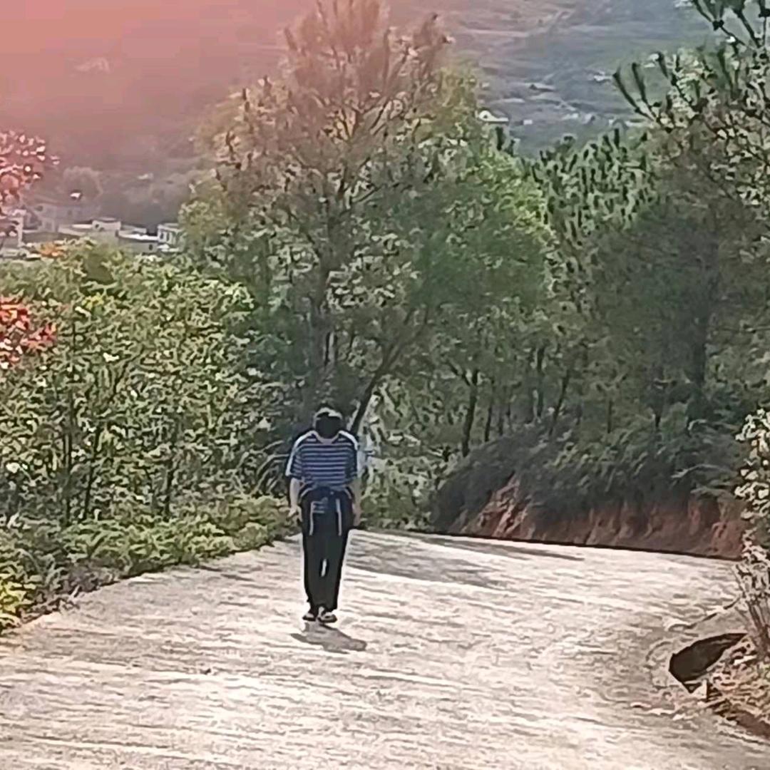 顺🤡顺