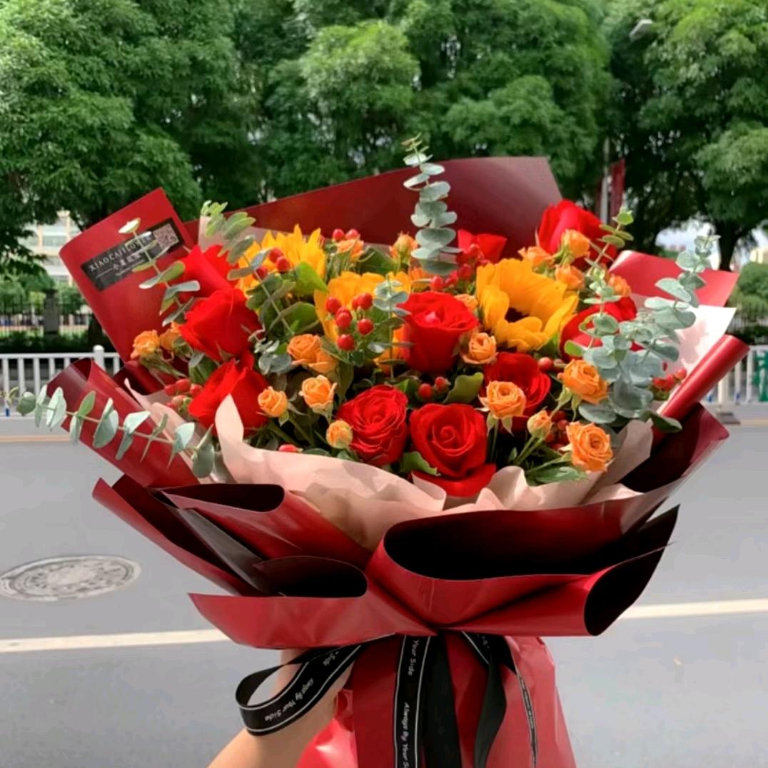 梦圆南往皆坦途
