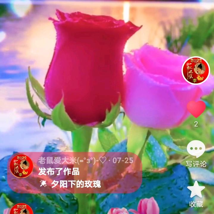 老鼠爱大米(⑉°з°)-♡