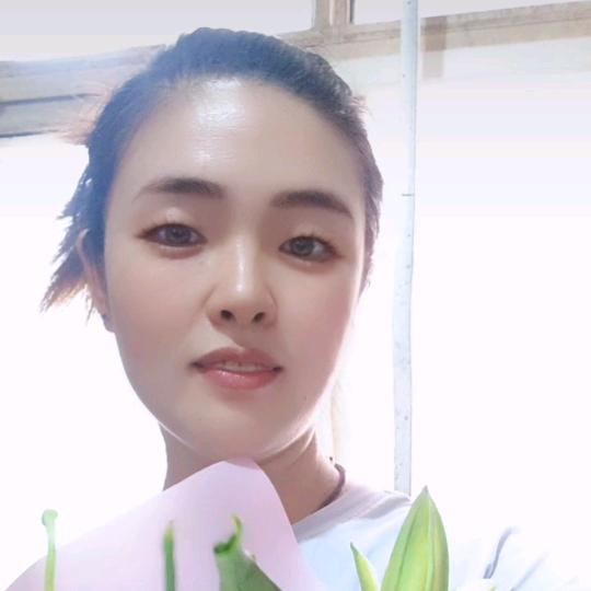 海棠花开