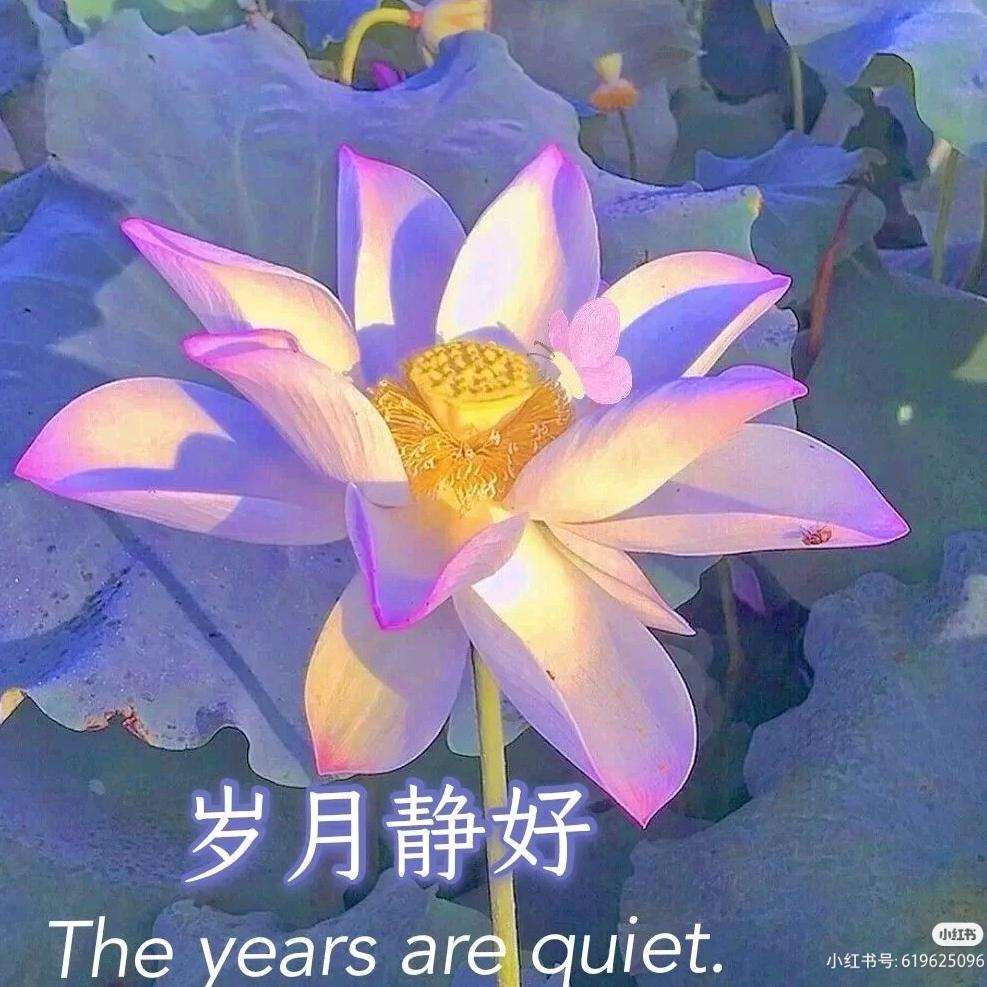 西沟三姐