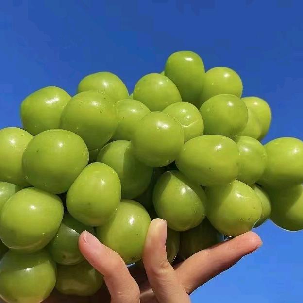 邻途·果润优水果生鲜超市(龙山新居店)